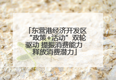 东营港经济开发区“政策+活动”双轮驱动 提振消费能力 释放消费潜力