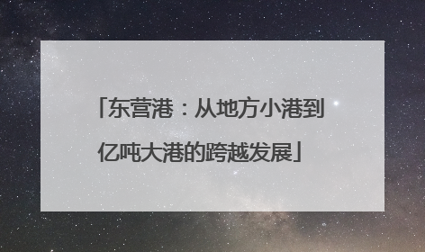 东营港：从地方小港到亿吨大港的跨越发展