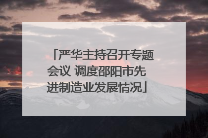 严华主持召开专题会议 调度邵阳市先进制造业发展情况