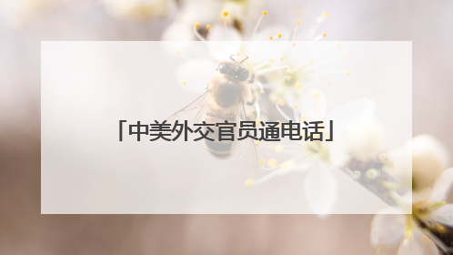 中美外交官员通电话