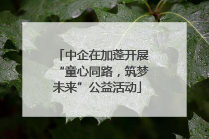 中企在加蓬开展“童心同路，筑梦未来”公益活动