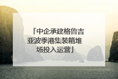 中企承建格鲁吉亚波季港集装箱堆场投入运营