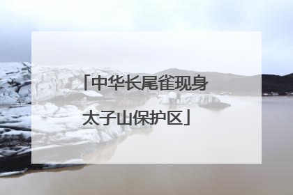 中华长尾雀现身太子山保护区