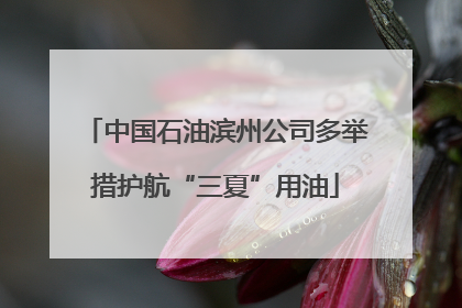 中国石油滨州公司多举措护航“三夏”用油