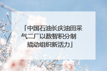 中国石油长庆油田采气二厂以数智积分制 撬动组织新活力