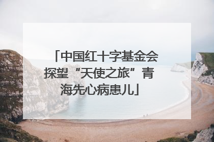 中国红十字基金会探望“天使之旅”青海先心病患儿