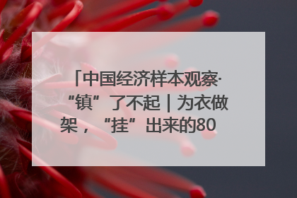 中国经济样本观察·“镇”了不起｜为衣做架，“挂”出来的80亿元“衣架产业”