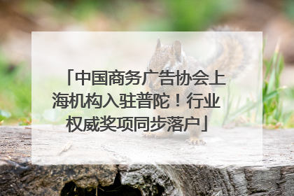 中国商务广告协会上海机构入驻普陀！行业权威奖项同步落户
