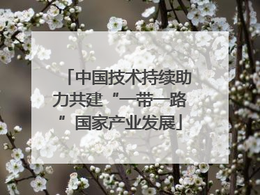 中国技术持续助力共建“一带一路”国家产业发展