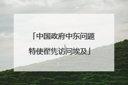中国政府中东问题特使翟隽访问埃及