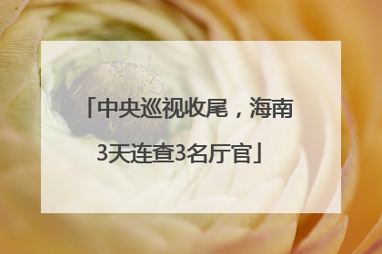 中央巡视收尾，海南3天连查3名厅官