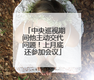 中央巡视期间他主动交代问题！上月底还参加会议