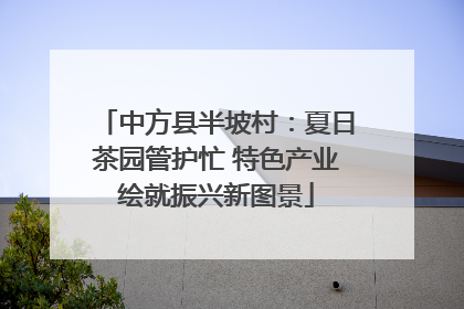 中方县半坡村：夏日茶园管护忙 特色产业绘就振兴新图景