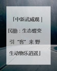 中新武威观｜民勤：生态蝶变引“客”来 野生动物乐逍遥