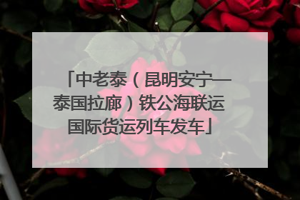 中老泰（昆明安宁—泰国拉廊）铁公海联运国际货运列车发车