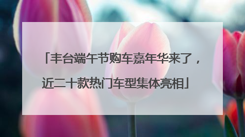丰台端午节购车嘉年华来了，近二十款热门车型集体亮相