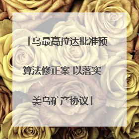 乌最高拉达批准预算法修正案 以落实美乌矿产协议