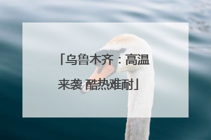 乌鲁木齐：高温来袭 酷热难耐