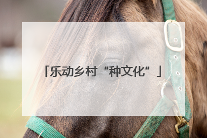 乐动乡村“种文化”