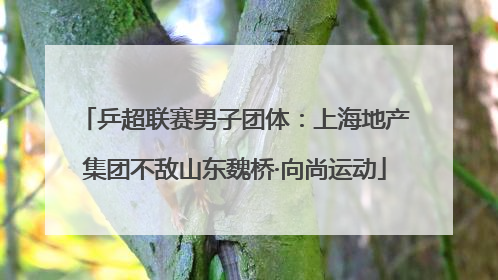 乒超联赛男子团体：上海地产集团不敌山东魏桥·向尚运动