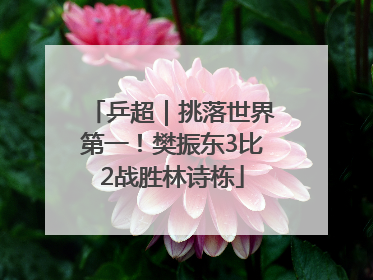 乒超｜挑落世界第一！樊振东3比2战胜林诗栋