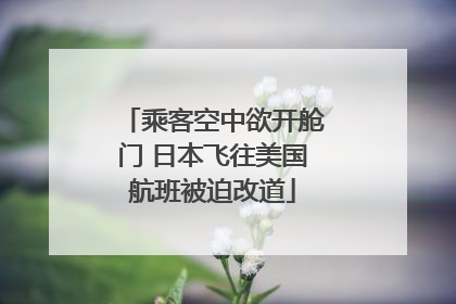 乘客空中欲开舱门 日本飞往美国航班被迫改道