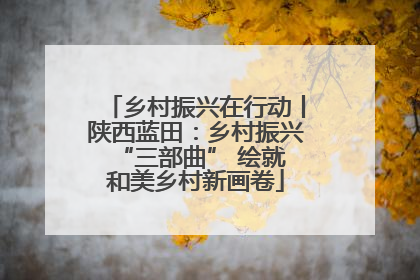 乡村振兴在行动丨陕西蓝田：乡村振兴 “三部曲” 绘就和美乡村新画卷