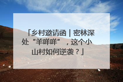 乡村邀请函｜密林深处“羊咩咩”，这个小山村如何逆袭？
