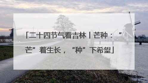 二十四节气看吉林丨芒种：“芒”着生长，“种”下希望