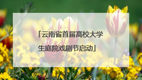 云南省首届高校大学生庭院戏剧节启动