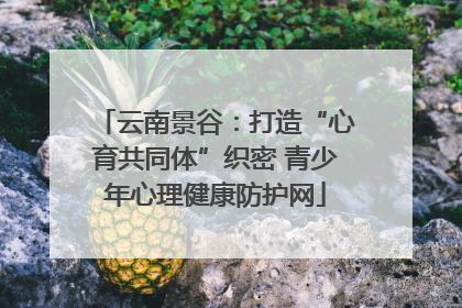 云南景谷：打造“心育共同体”织密 青少年心理健康防护网