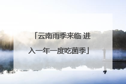 云南雨季来临 进入一年一度吃菌季