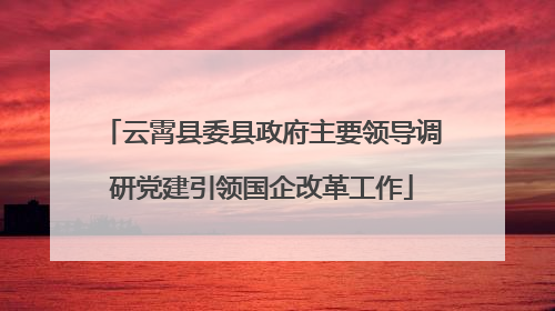 云霄县委县政府主要领导调研党建引领国企改革工作