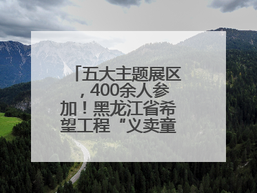 五大主题展区，400余人参加！黑龙江省希望工程“义卖童园”活动举行