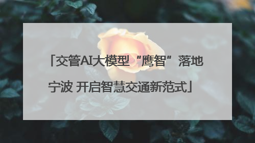 交管AI大模型“鹰智”落地宁波 开启智慧交通新范式