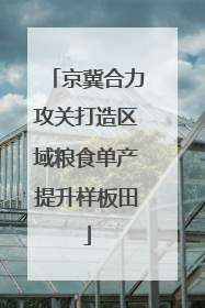 京冀合力攻关打造区域粮食单产提升样板田