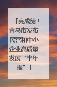 亮成绩！青岛市发布民营和中小企业高质量发展“半年报”