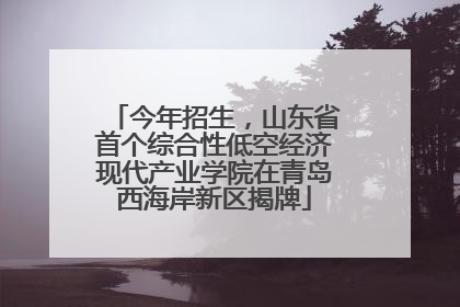 今年招生，山东省首个综合性低空经济现代产业学院在青岛西海岸新区揭牌