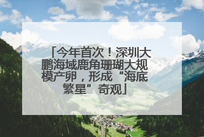 今年首次！深圳大鹏海域鹿角珊瑚大规模产卵，形成“海底繁星”奇观