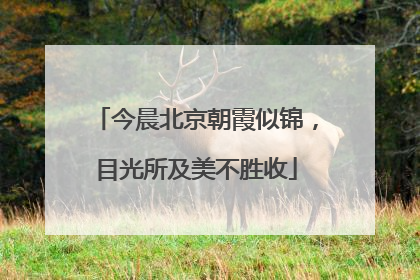 今晨北京朝霞似锦，目光所及美不胜收