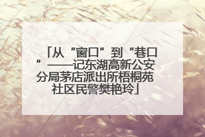 从“窗口”到“巷口”——记东湖高新公安分局茅店派出所梧桐苑社区民警樊艳玲