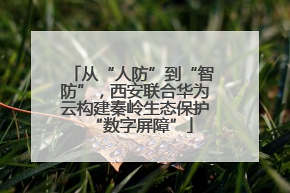 从“人防”到“智防”，西安联合华为云构建秦岭生态保护“数字屏障”