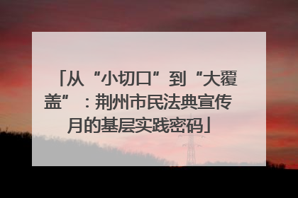 从“小切口”到“大覆盖”：荆州市民法典宣传月的基层实践密码