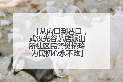 从窗口到巷口，武汉光谷茅店派出所社区民警樊艳玲为民初心永不改