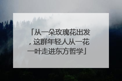从一朵玫瑰花出发，这群年轻人从一花一叶走进东方哲学