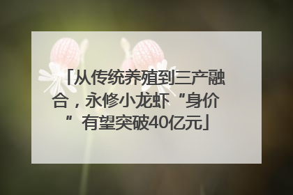 从传统养殖到三产融合，永修小龙虾“身价”有望突破40亿元