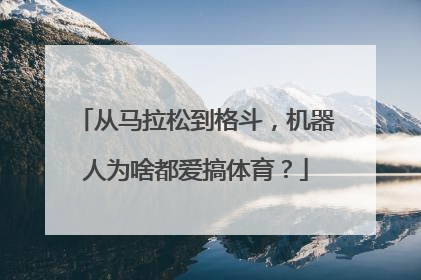从马拉松到格斗，机器人为啥都爱搞体育？