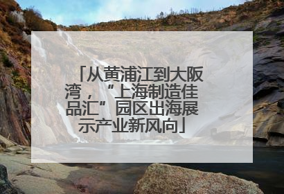 从黄浦江到大阪湾，“上海制造佳品汇”园区出海展示产业新风向