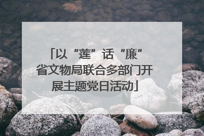 以“莲”话“廉” 省文物局联合多部门开展主题党日活动
