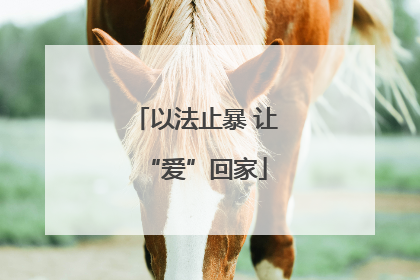 以法止暴 让“爱”回家